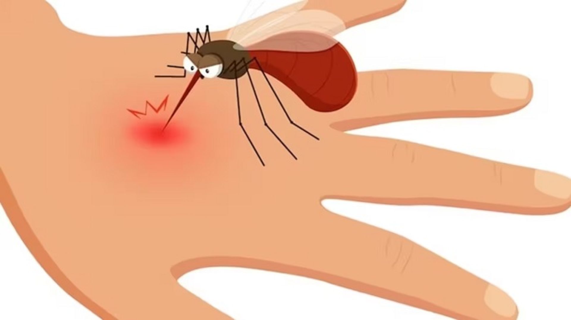 मौसम परिवर्तनसँगै बिरामीको चाप बढ्दो, डेङ्गु सङ्क्रमित पनि बढ्यो
